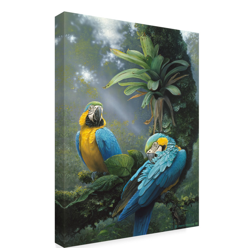 Blue and Yellow Macaws Gallery-Wrapped Canvas Art