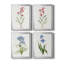 Delicate Pink I - ensemble de 4 peintures sur toile encadrées-379458574-379458573