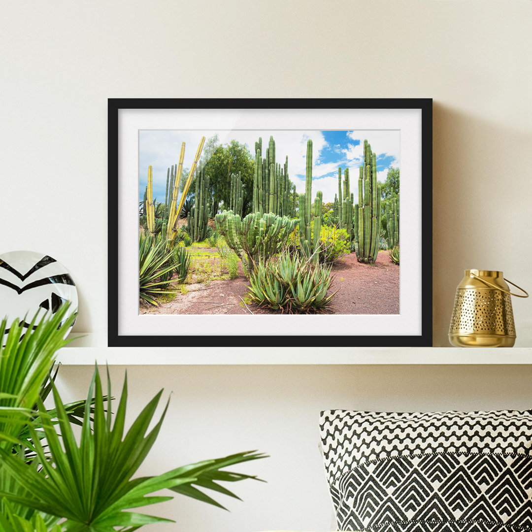 Gerahmtes Poster Cactus Landscape