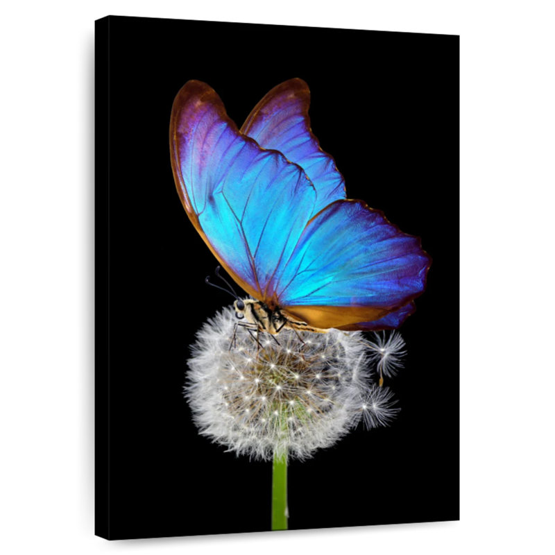 Brampt Blue Morpho On Dandelion, 12" H x 8" W
