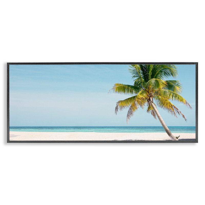 Giclée de palmier tropical, encadrée par Danita Delimont, H 10 po x l 24 po, Giclée noire de minuit encadrée