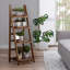 Sawyerville 4 Tier Free Standing Ladder Shelf Wooden Plant Stand