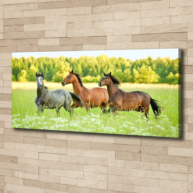Horses In A Gallop - Wrapped Canvas Print