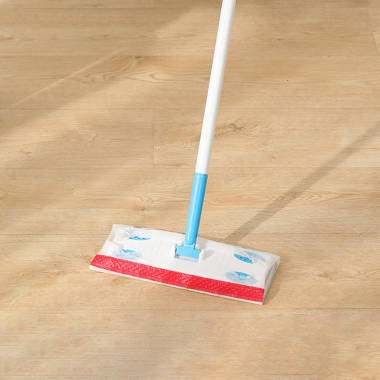 LEITIANDAZHUANG Mop