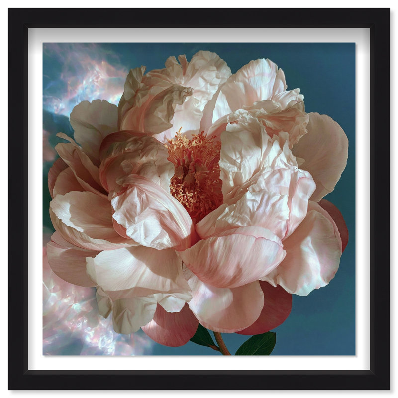 " Silk Petal Core " by Oliver Gal, 31.5"H x 31.5"W, Black Frame