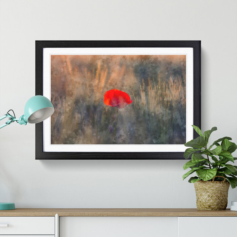 Red Poppy Flower - Framed Print, 45cm H x 63cm W x 2cm D, Black Framed