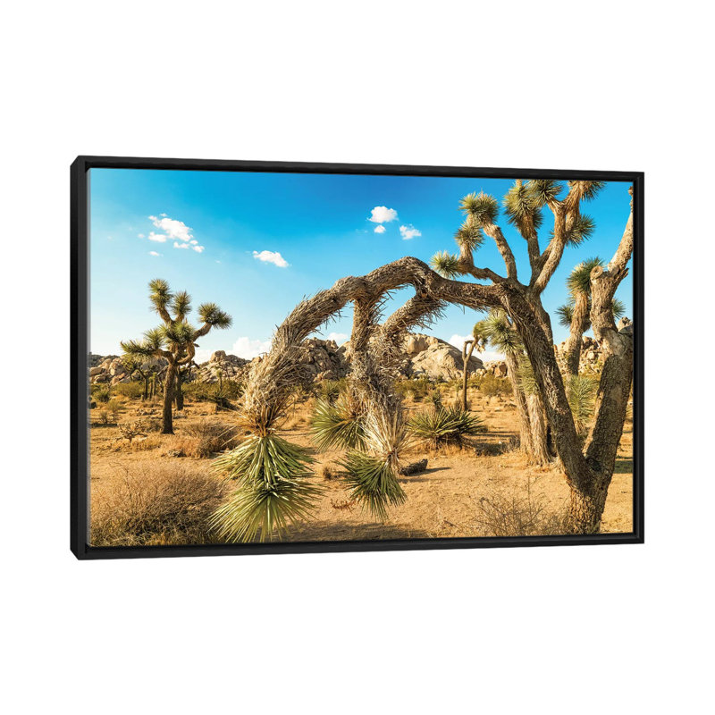 «Joshua Tree National Park» par Mark Paulda, impression sur toile, H 32 po x l 48 po x P 1,5 po, Toile encadrée noire