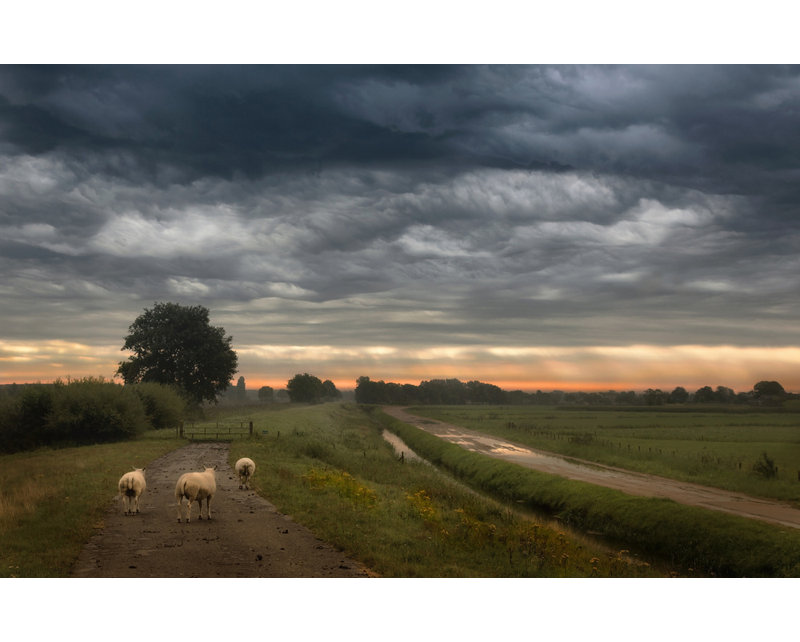 Wrapped Canvas Print
