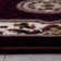 Beckwourth Floral Indoor Rug