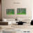 Harnek Eucalyptus Rainbow Trees-107871400