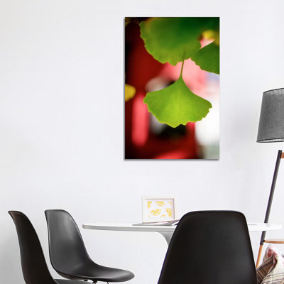 Goethes Favorite by Philippe Sainte-Laudy - Wrapped Canvas Print
