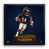 NFL Chicago Bears