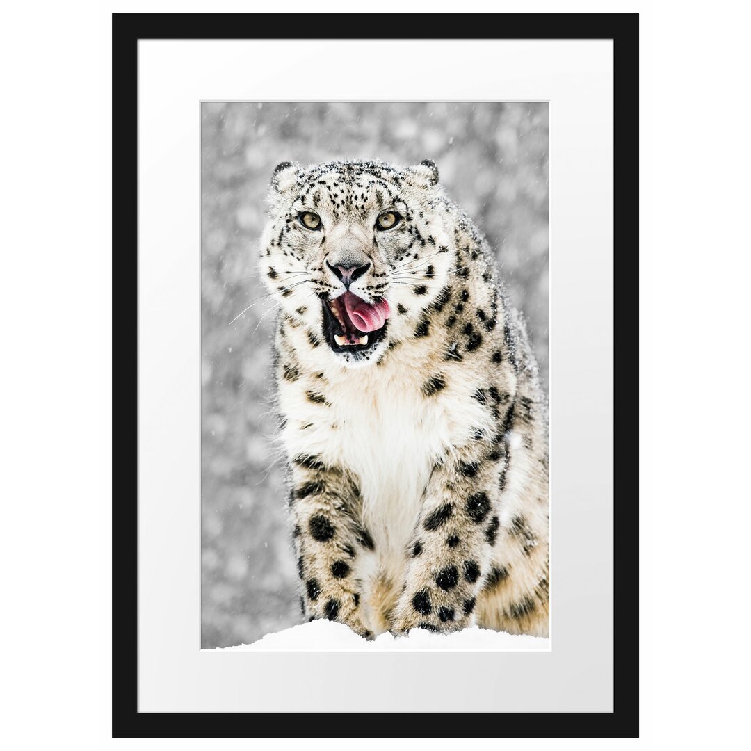 Gerahmtes Poster Leopard im Schnee