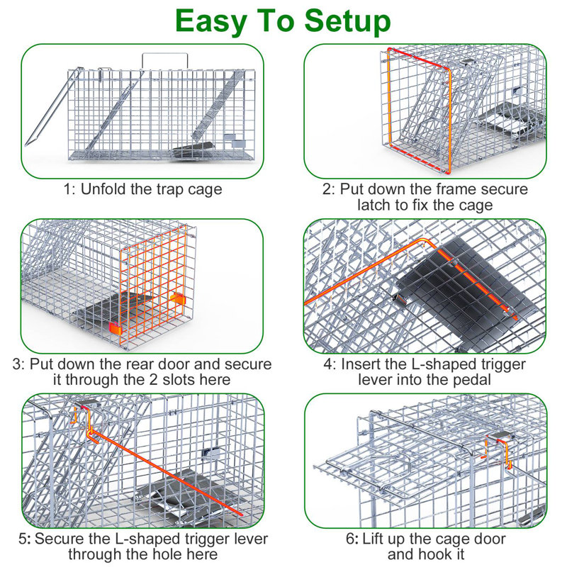 Cage à piège 18 po x 8 po x 10 po Humane