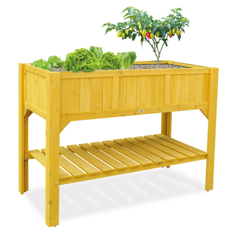 Raised Bed