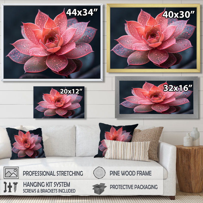 Beauté botanique succulente monochrome I - Art mural succulent, Toile encadrée noire simple, H 30 po x l 40 po x P 1,5 po