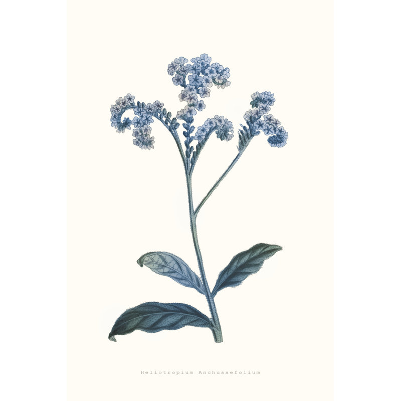 Bouquet Blue 4 Framed Print, 29.75" H x 21.75" W