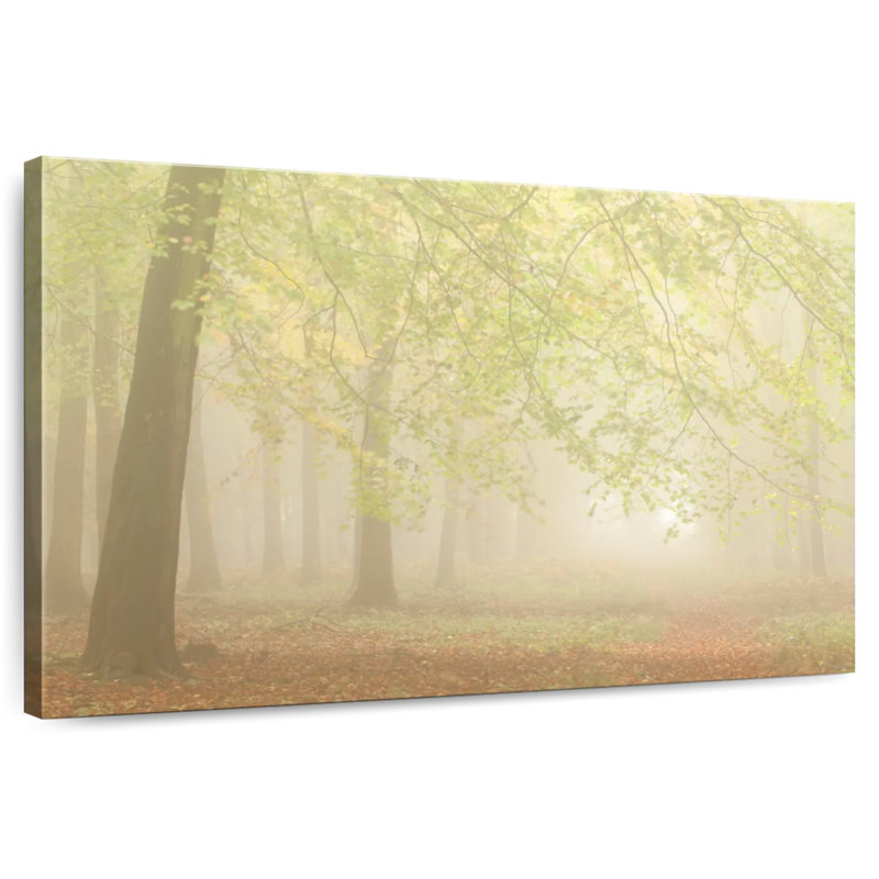 Alvord forêt brouillard I, H 20 po x l 30 po