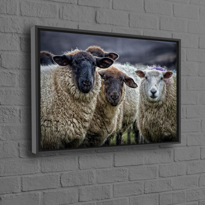 Sheep Wall Art on Canvas for Farmhouse Style Home Decor with Animal Theme Ideal as a Gift and Perfect for Enhancing Farm Wall Aesthetics Offering Framed Art Prints