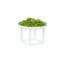 Cal-Mil Metal Display Riser Buffet Accessory