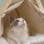 Lit pour chat Brylan-1961455197