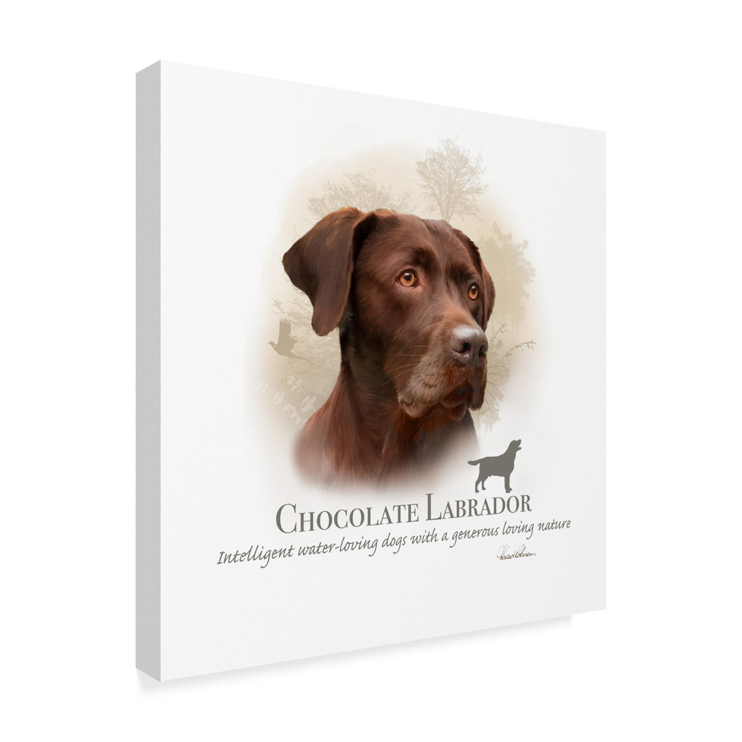 " Chocolate Labrador " by Howard Robinson Trademark Fine Art 