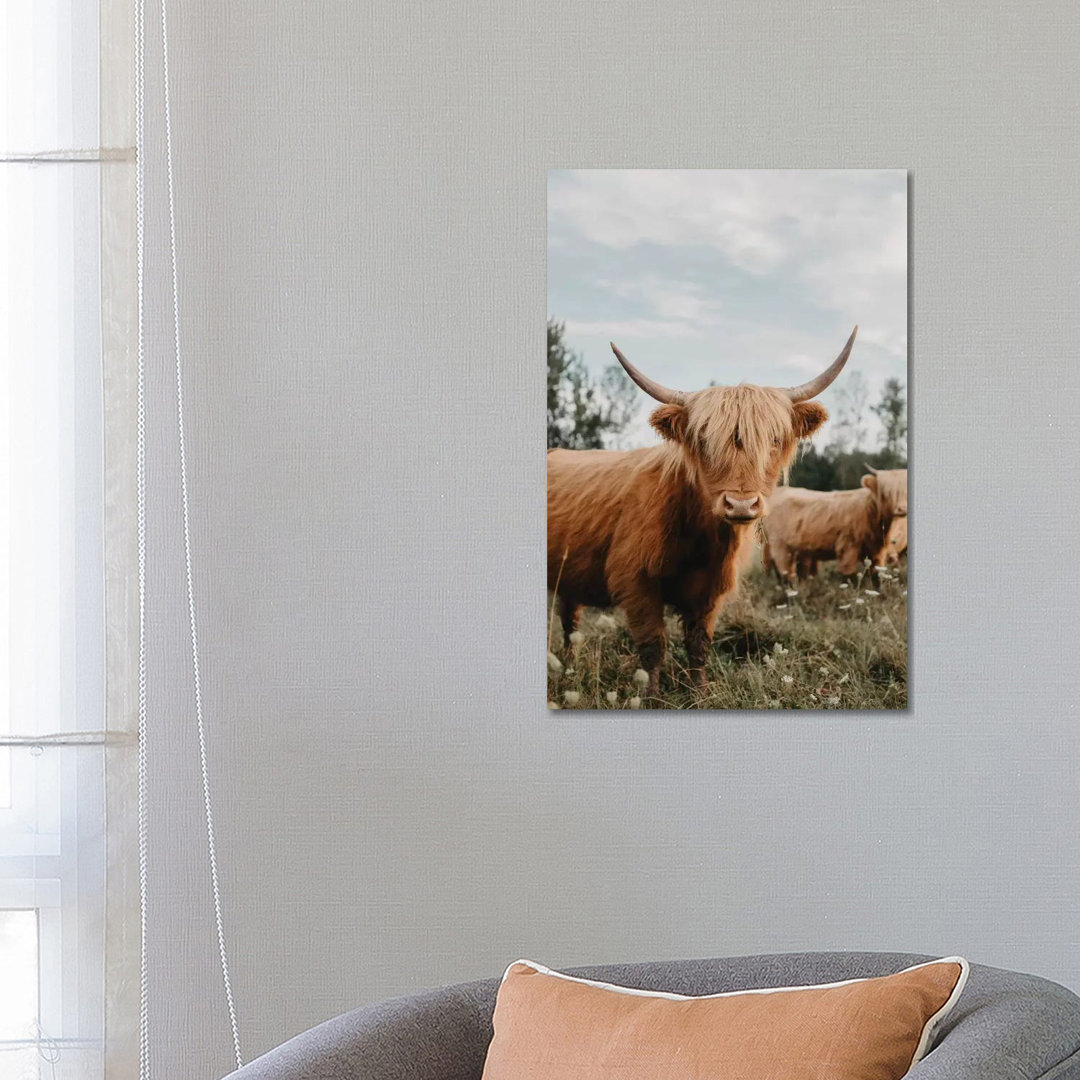 Highland Cow by Chelsea Victoria - Wrapped Canvas Gallery-Wrapped Canvas Giclée