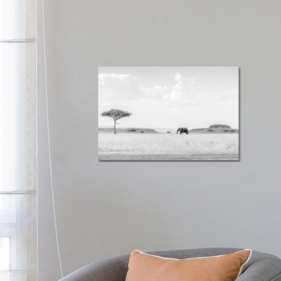 High Key Savannah by Jaco Marx - Print on Canvas