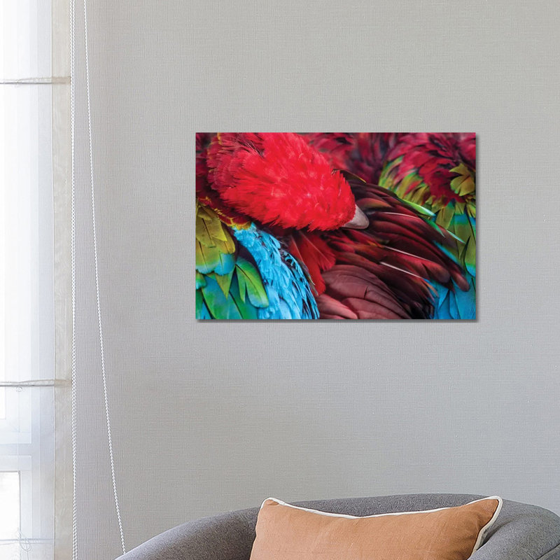 Parrot by Goran Anastasovski - Wrapped Canvas Painting, 66.04 cm H x 45.72 cm W x 1.91 cm D