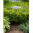 Aspen Leaf Birdbath with Stake