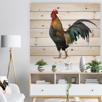 " Chicken Rooster "