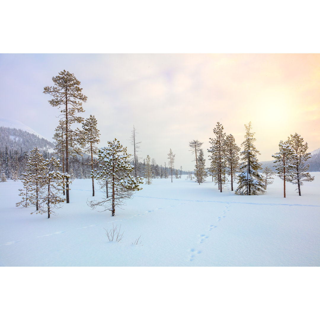 Snowy Winter Landscape by A_Taiga - Wrapped Canvas Print