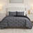 BCBG Vanna Velvet Quilt Set-122528929