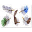 Ensemble de plumes colorées Boho IV - peinture sur toile-59760396-59760402