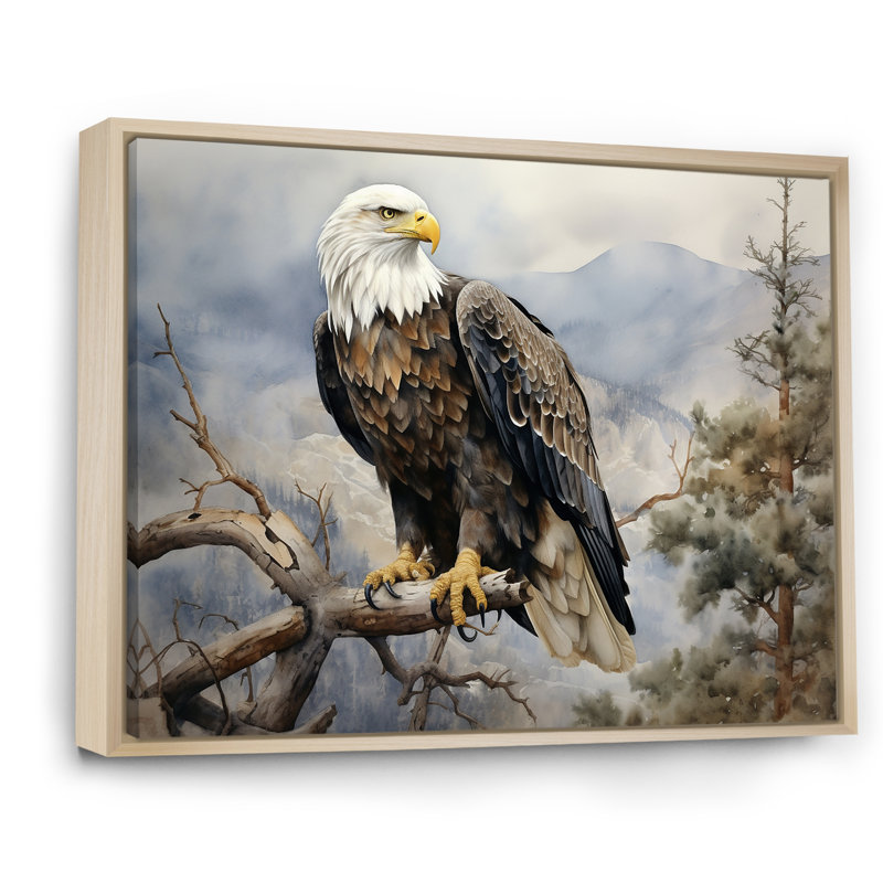 «Bold Eagle Noble Perch», reproduction sur toile Aigle, Cadre naturel flottant, 16" H x 32" W