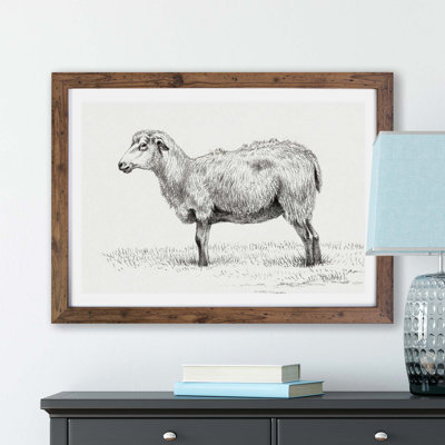 Standing Sheep by Jean Bernard - Framed Print