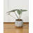 4" Ceramic Flower Pot Planter Home Décor-93564558