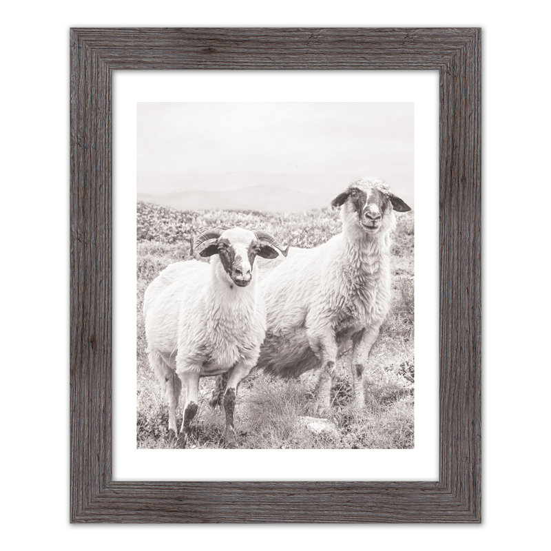 Sheep On Hill, reproduction encadrée, H 20 po x l 16 po x P 0,75 po, gris