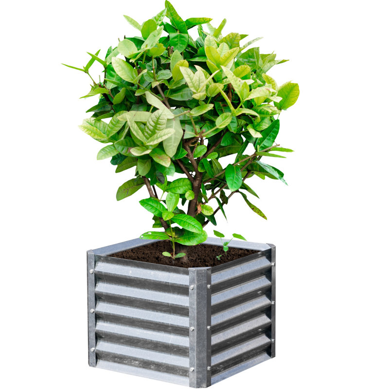 Boîte à fleurs en acier galvanisé Tackett