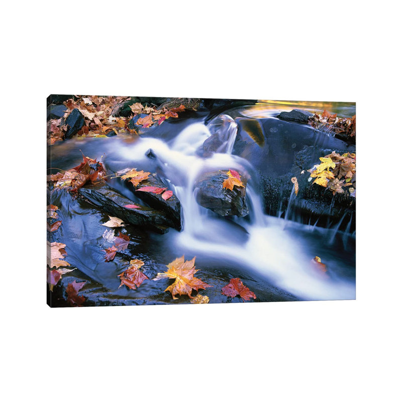 Autumn Leaves In Little River, Great Smoky Mountains National Park, Tennessee - Horizontal by Tim Fitzharris - Wrapped Canvas Print