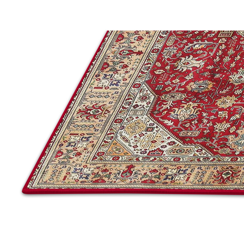 Ellenor Oriental Indoor Rug, Rectangle 4' x 6'