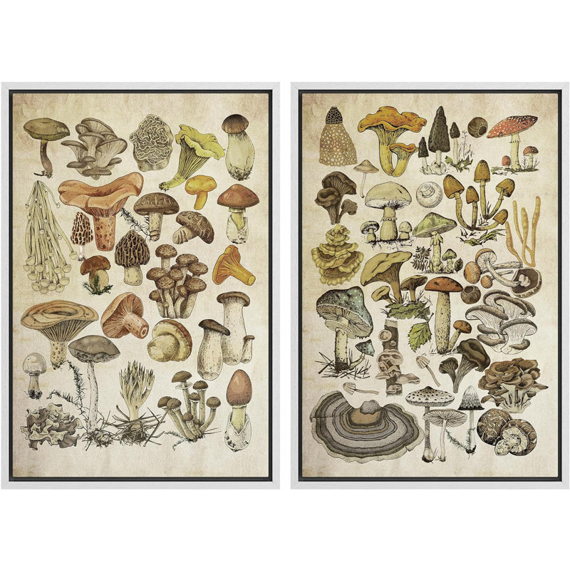 Abstrait botanique champignon rustique, œuvre d'art de cuisine rétro encadrée sur toile 2 pièces, art mural, Blanc