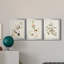 Pl. «194 Canadian Titmouse», ensemble de 3 reproductions d'art sur toile encadrées-1877724126-1877724127