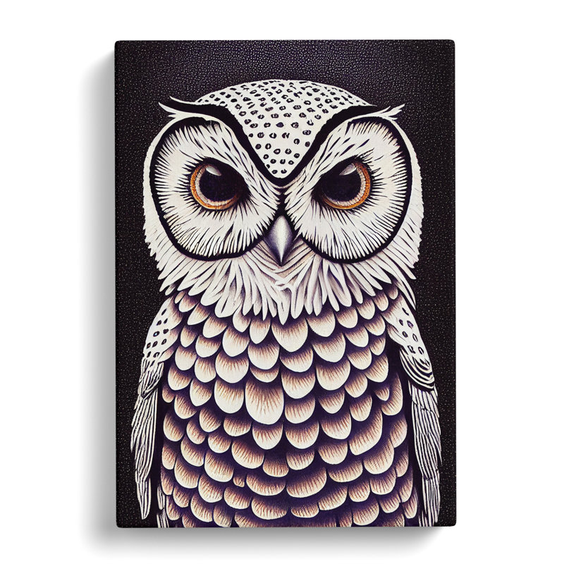 An Extraordinary Owl - Wrapped Canvas, 60cm H x 40cm W x 3cm D