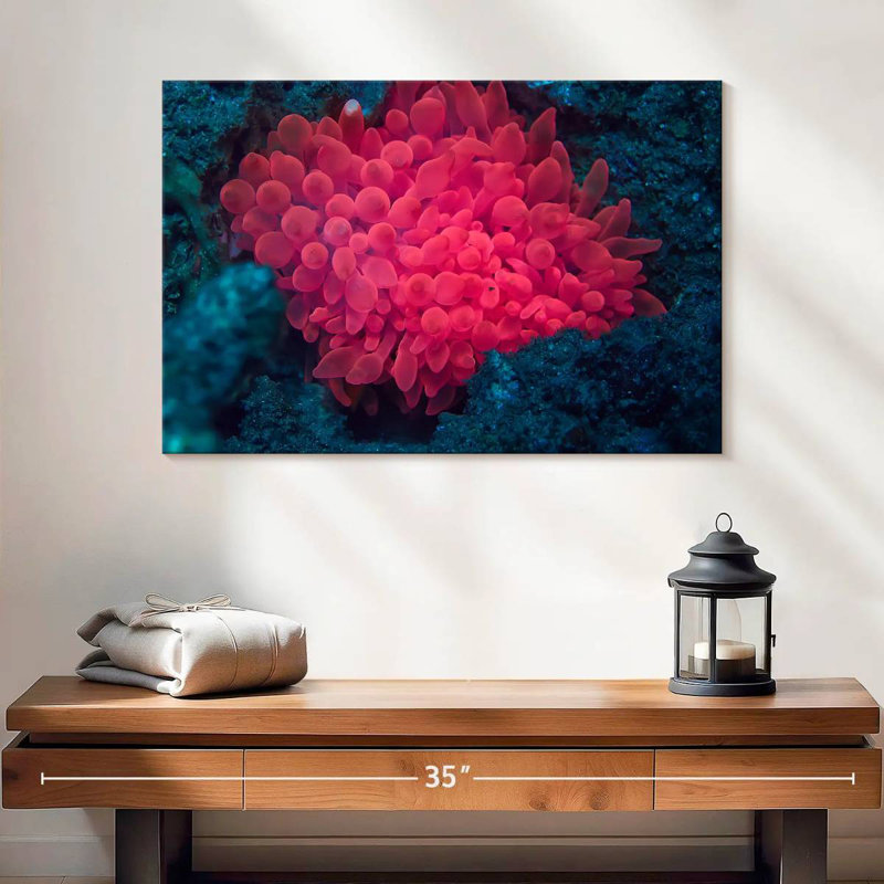 Rose corail, H 16 po x l 24 po