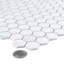 Carreau de mosaïque de plancher et de mur en porcelaine Carrara Hex 10 "1/4 x 11"