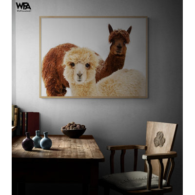 Reproduction de photo d'alpaga, reproduction encadrée de portrait d'alpaga, reproduction de photographie animalière, art mural de ferme, impression fabuleuse d'alpaga, art mural encadré