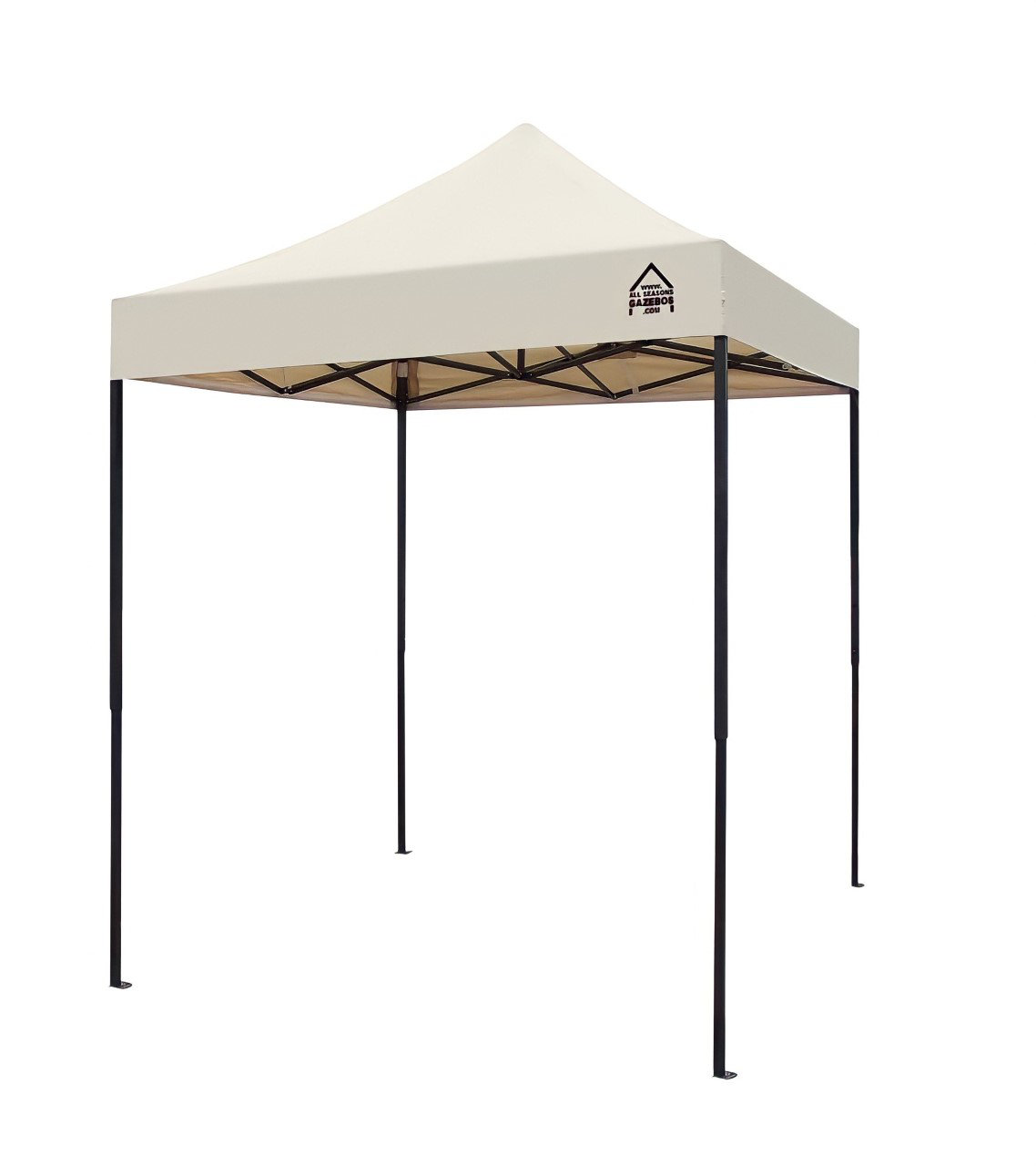 All Seasons Gazebos 2x2m Pop up Garden Gazebo With Wheeled bag, 4 Leg  Weights, Rope and Pegs