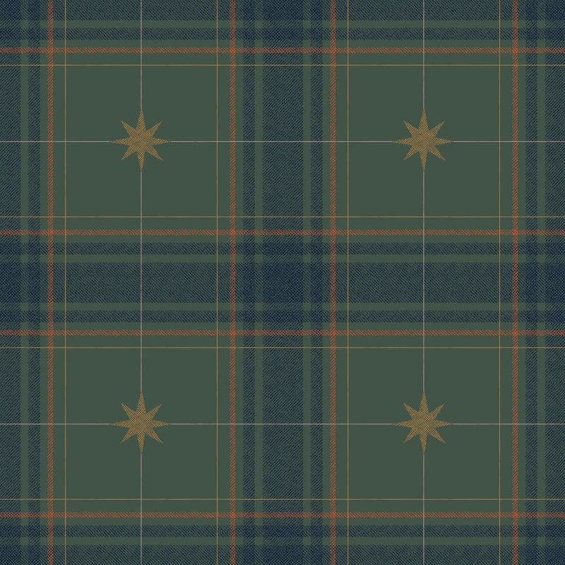 Mariners Grid, Faux Grasscloth, Forest Green