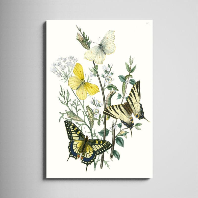«British Butterflies II», peinture sur toile, H 48 po x l 32 po